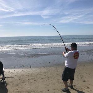 Meet your Posher, Douglas